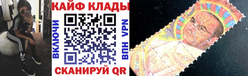 Бошки Шишки Полярные Зори