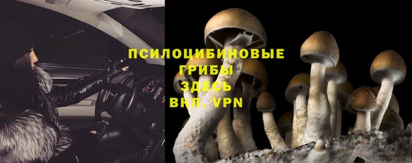 индика Арсеньев