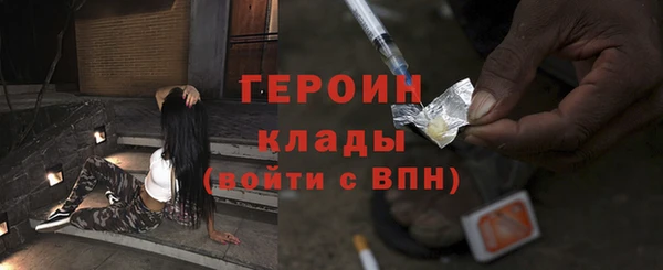 индика Арсеньев