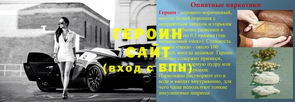 индика Арсеньев