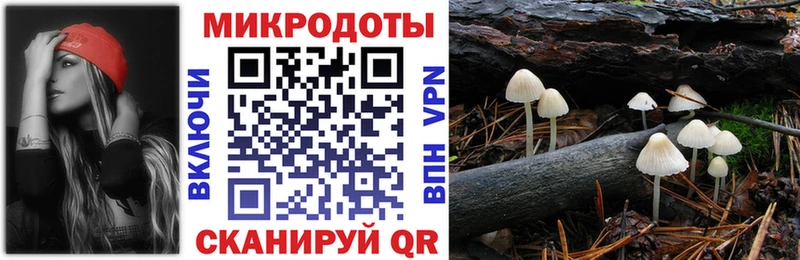 Галлюциногенные грибы Cubensis  дарк нет Telegram  Полярные Зори 